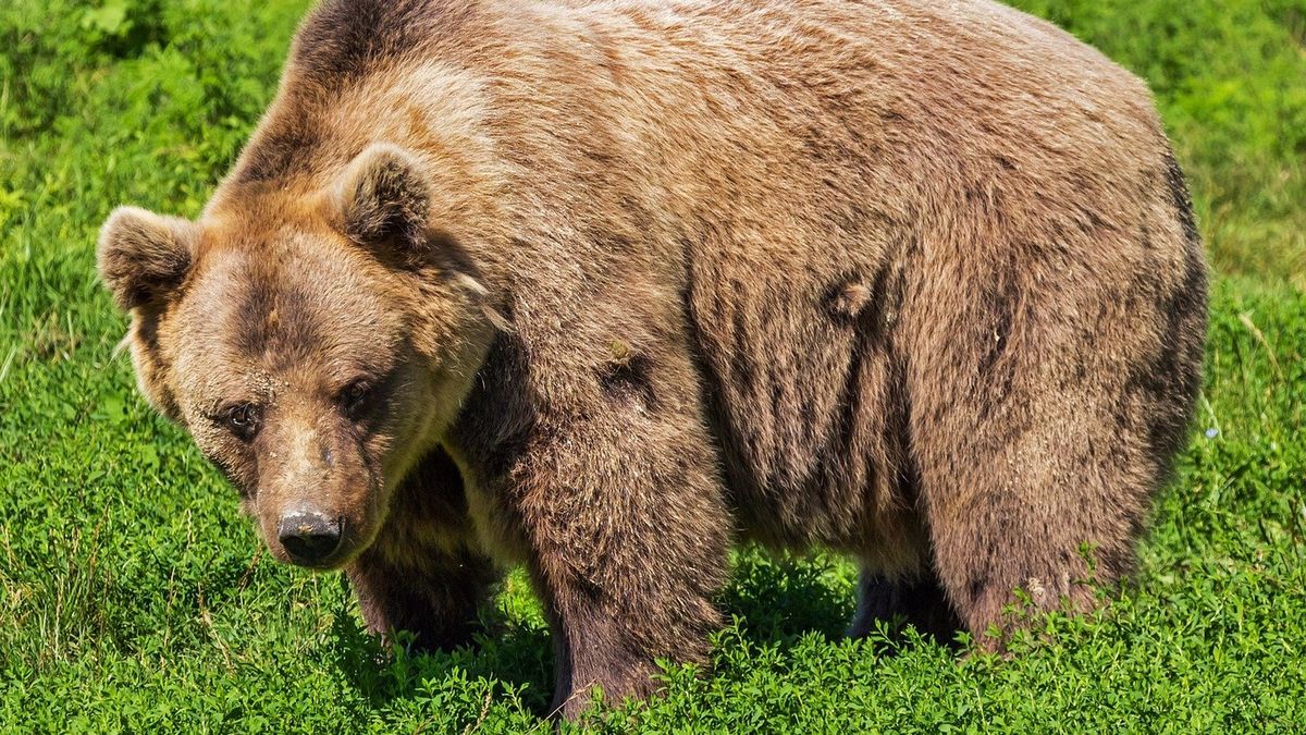 Zdjęcie ilustracyjne.