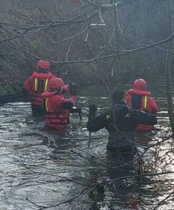 Ukrainka znaleziona martwa w Czechach. Zatrzymano byłego pracodawcę