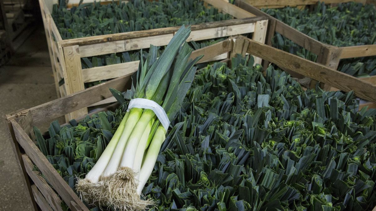 Wydaliśmy ponad 36 mln zł na pory spoza Polski