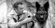 "Przygody psa Cywila". Nieważne ile razy oglądałeś, na pytanie numer 4 odpowie kilka osób w Polsce