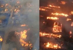 Potężny pożar w Rosji. "Spłonęło blisko 200 budynków". Stan wyjątkowy