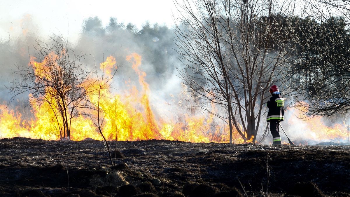 Wypalanie trawy w Olsztynie
24.03.2017 Olsztyn Wiosenne wypalanie trawy pomiedzy osiedlami Nagorki a Pieczewo w Olsztynie fot. Artur Szczepanski/REPORTER
Artur Szczepanski/REPORTER
