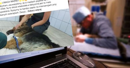 Przerażająca interwencja. "Widok zwalił nas z nóg". Psa nie udało się uratować [Uwaga, drastyczny opis]