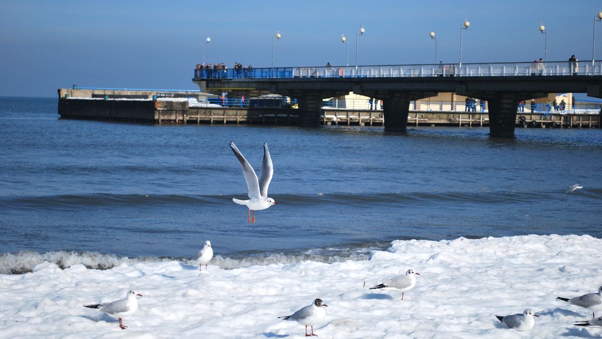 Kołobrzeg