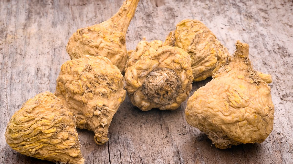 Korzeń maca należy do tzw. superfoods