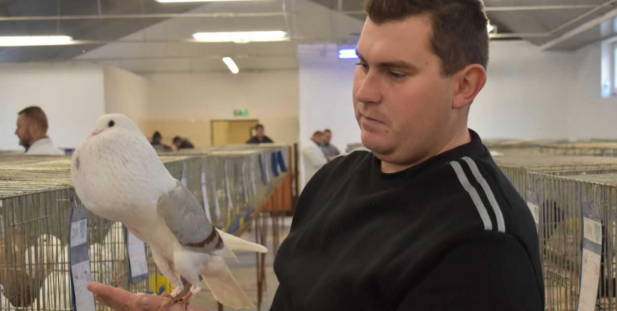 Sandomierz: Ptasie piękności na wystawie