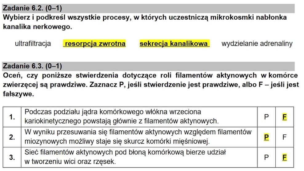 Zadanie 6.2 i 6.3