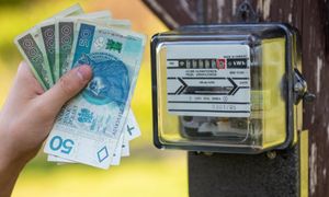 Prezes URE zdecyduje ws. taryf prądu. Minister mówi, na jaką stawkę liczy