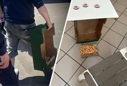 Policja zatrzymała organizatora popularnej wakacyjnej gry