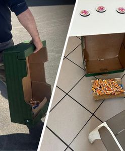 Policja zatrzymała organizatora popularnej wakacyjnej gry