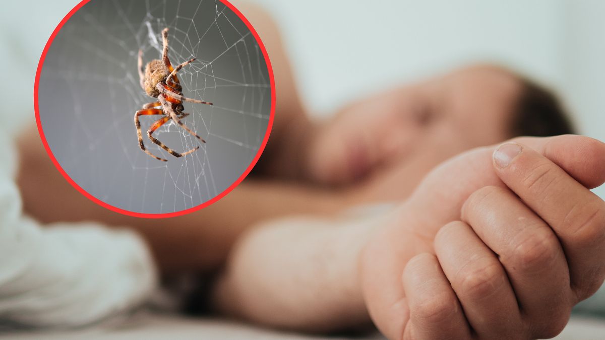 Zdjęcie ilustracyjne. 