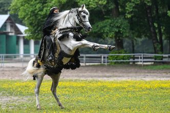 Pride of Poland 2020. Zainteresowanie uzależnione od ceny ropy