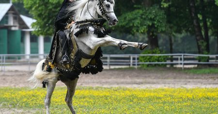 Pride of Poland 2020. Zainteresowanie uzależnione od ceny ropy
