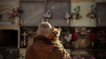 Rewolucja na cmentarzach we Wrocławiu. Sutryk o zmianach dla psów