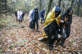 Nielegalne przekroczenie granicy. Ważne zmiany. Wniosek uchodźczy bez rozpoznania
