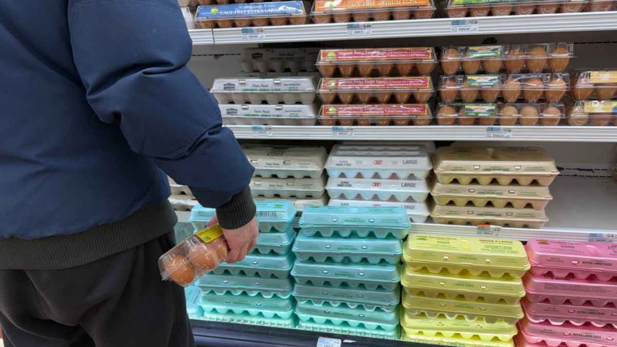 Amerykański rząd chce walczyć z kryzysem jajecznym