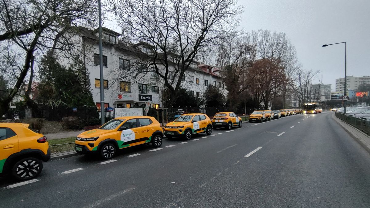 Flota aut firmowych w strefie parkowania na ul. Saskiej