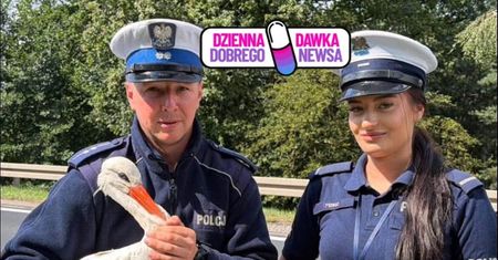 Ranny bocian na DW 432. Uratowali go policjanci