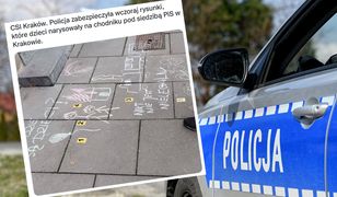 Dzieci rysowały kredą przed siedzibą PiS. Jest decyzja policji