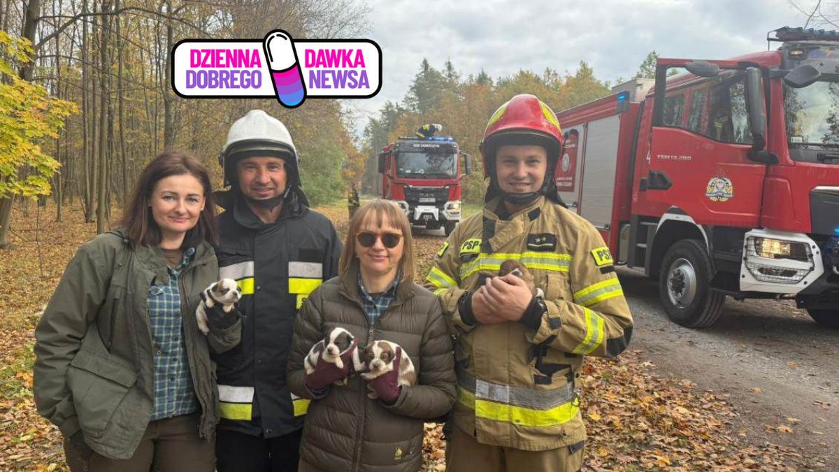 Kolejne zwierzęta uratowane! Akcja ratunkowa w Nadleśnictwie Dob