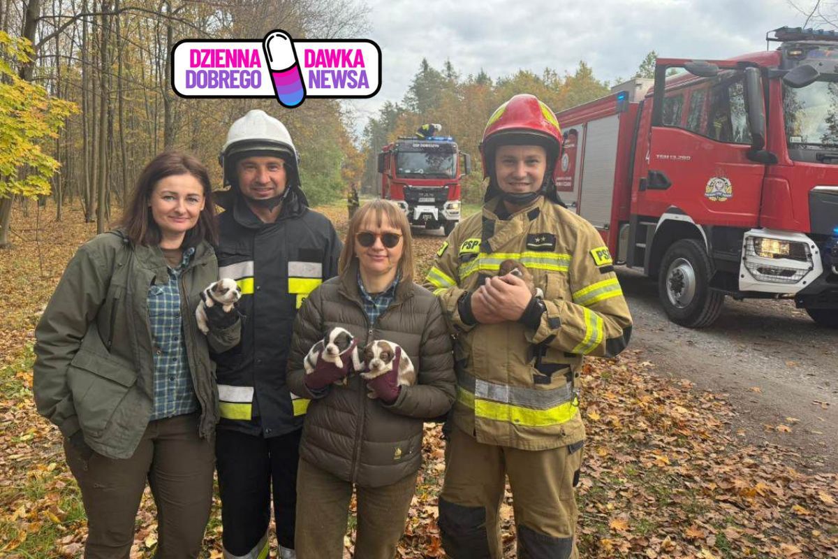 Kwiliły w rurze w lesie. Strażacy i leśnicy połączyli siły. "Uratowane!"