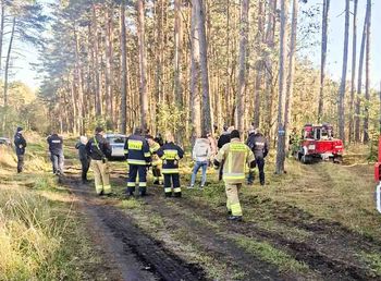 Słubice: Zaginął 67-letni grzybiarz, ogłoszono alarm dla komendy policji