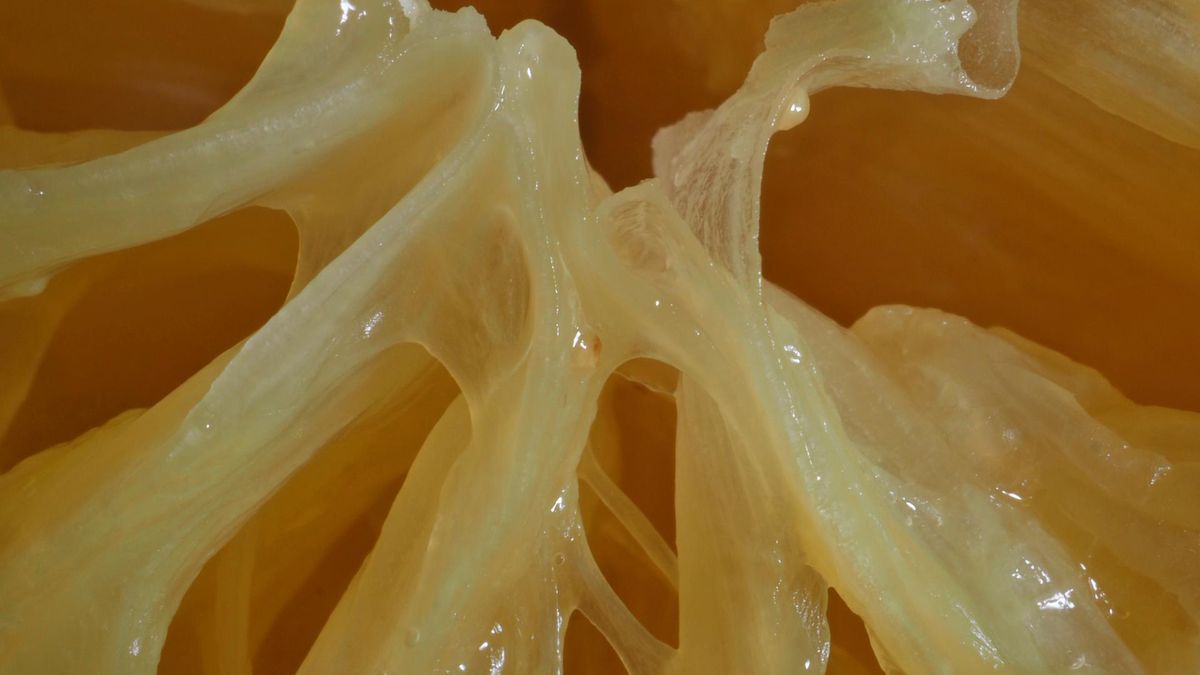 Pij rano, by pozbyć się wzdętego jak balon brzucha. Schudniesz, a dolegliwości jelitowe znikną