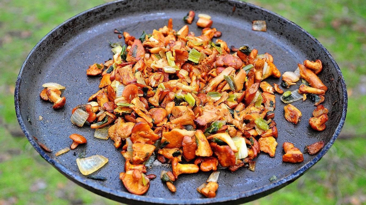 Miód do grzybów? Ten przepis może pozytywnie zaskoczyć