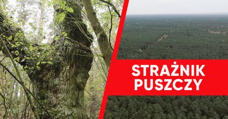 Wirtualna Polska wspiera leśne grupy strażnicze