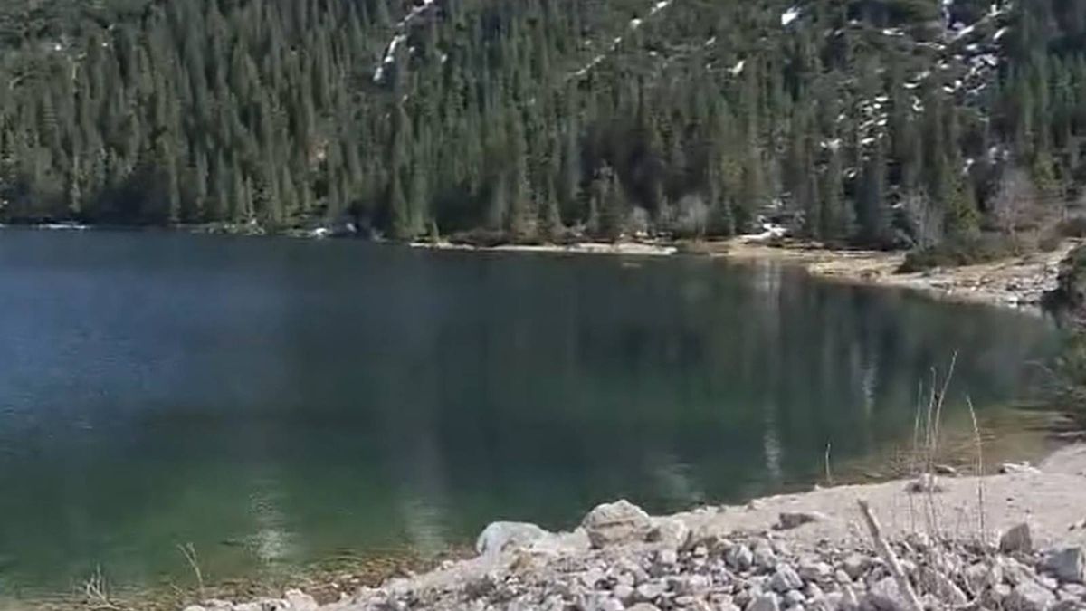 Bóbr napracował się nad Morskim Okiem, oto efekty jego prac