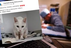 "Chcę ją uśpić". Kobieta chciała wyjechać na wakacje