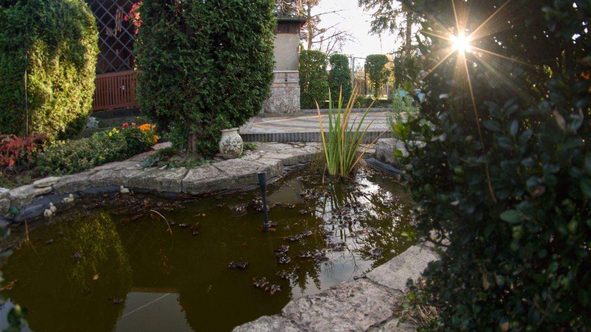 Rząd będzie dopłacał do instalacji przydomowych, które pozwalają zatrzymywać wodę.