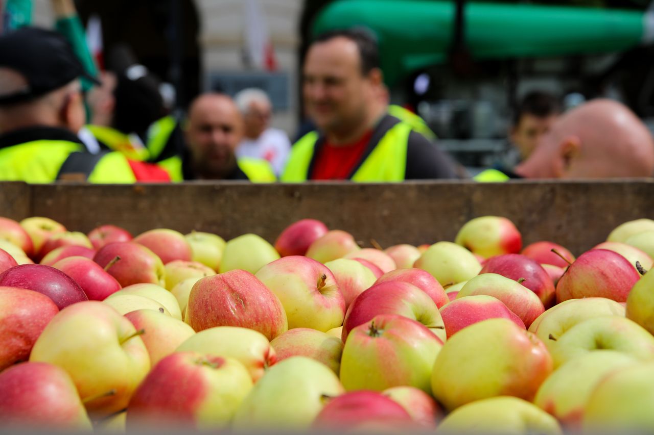 Labour abuses and exploitation of immigrants in EU's agriculture exposed