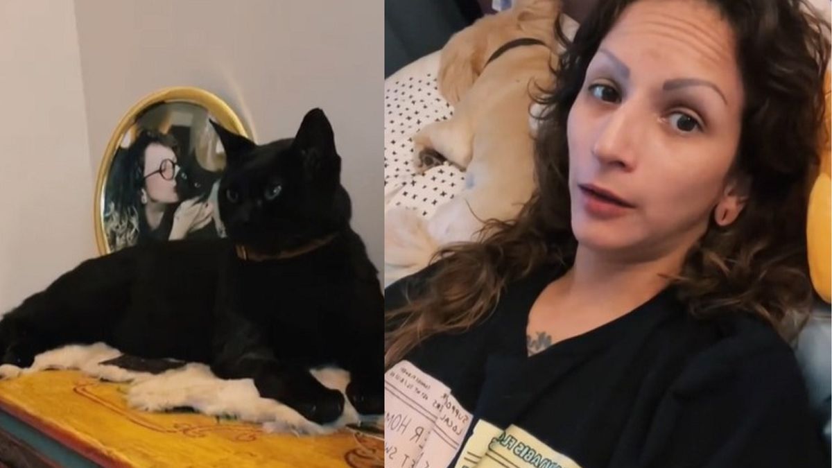 Zrobiła to ze swoim zmarłym kotem. 