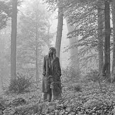 Taylor Swift "folklore"