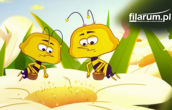 Pszczoły w reklamach pożyczek internetowych Filarum.pl (wideo)