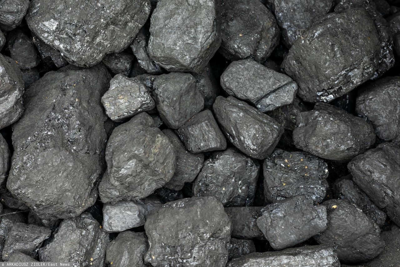 Ceny węgla w Polsce. Oto ile kosztuje tona opału na początku listopada