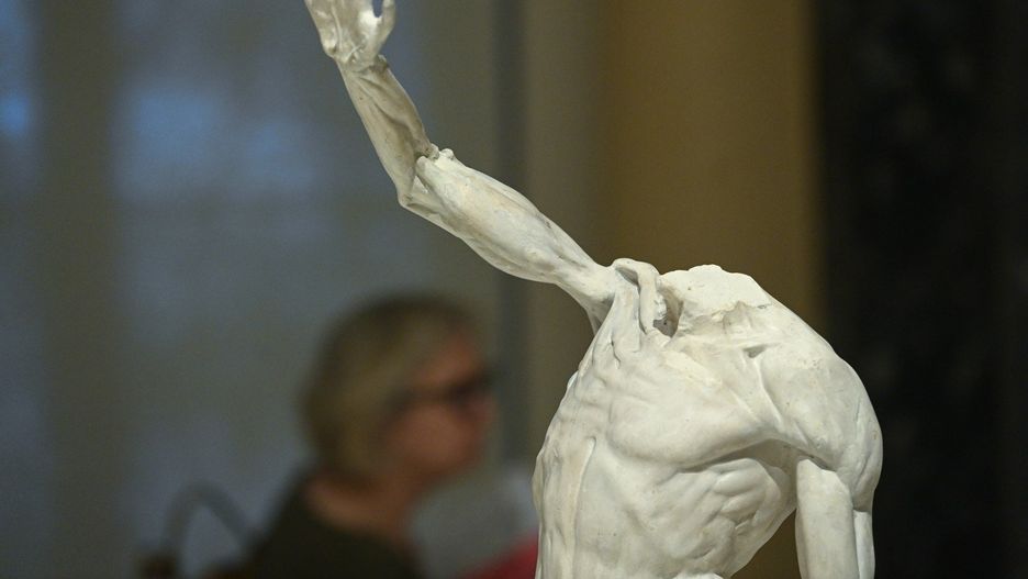 &#34;Anatomia antyku. Ciało i ruch w rzeźbie&#34;