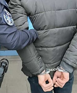 Kradzieże psów spod sklepu. Oto co za to grozi