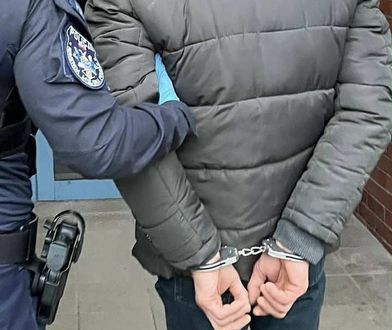 Kradzieże psów spod sklepu. Oto co za to grozi