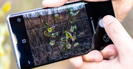 Zdjęcie ze smartfona to początek - co postprodukcja potrafi wyciągnąć ze zdjęć z Huawei P30 Pro
