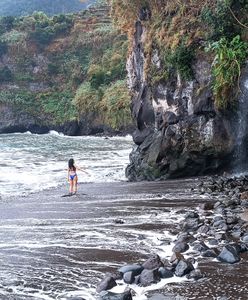 Rajska plaża na wyspie wiecznej wiosny. Jak ruchoma pocztówka