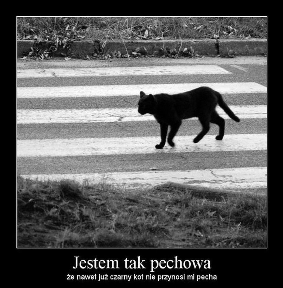 Memy z okazji piątku 13