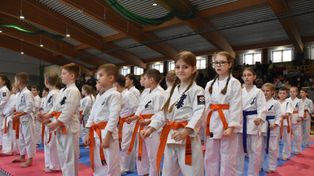 Malbork: XV Otwarte Mistrzostwa Malborka w Karate Kyokushin