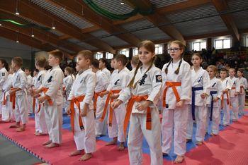 Malbork: XV Otwarte Mistrzostwa Malborka w Karate Kyokushin