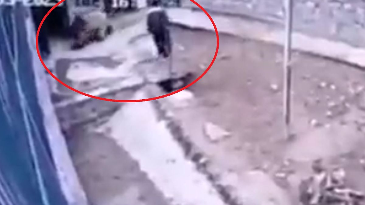 Niedźwiedź zaatakował opiekuna 