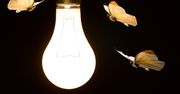 Ćmy wcale nie lecą do światła. Naukowcy odkryli, dlaczego naprawdę krążą wokół lamp