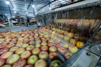 Wielka przetwórnia upadła. Przynosi zyski, ma gigantyczne długi