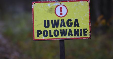 "Słyszymy w lesie strzały". Tak gmina chce zakazać łowów