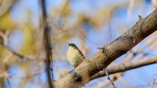 Sensacja w świecie naukowców. Spektakularne, wyjątkowo rzadkie widoki